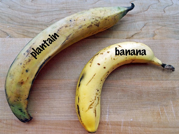 plantin or banana